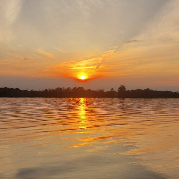 Meet your Posher, Posh - Picture 2 of 2